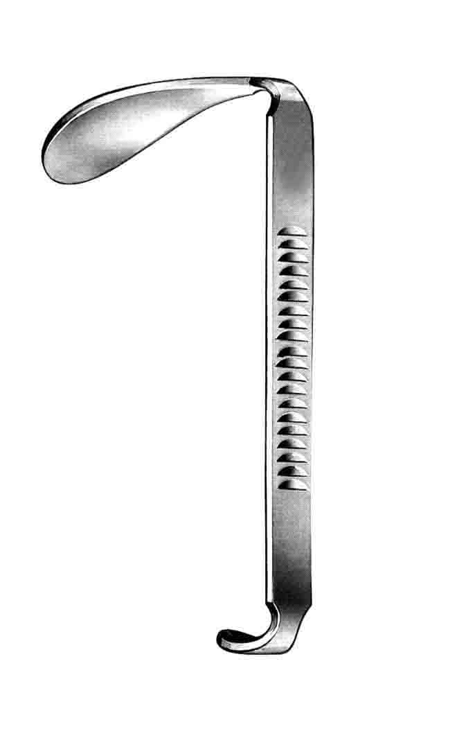 HERBERHOLD BİLEYT  SIZE1